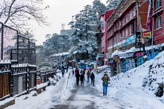 Himachal Special